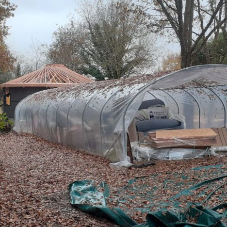 350 arbres à donner cherchent projets où s’enraciner