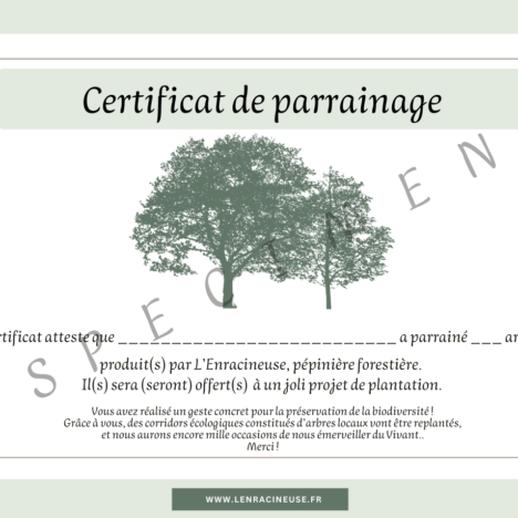 Mars 2026 : lancement de la pépinière participative !