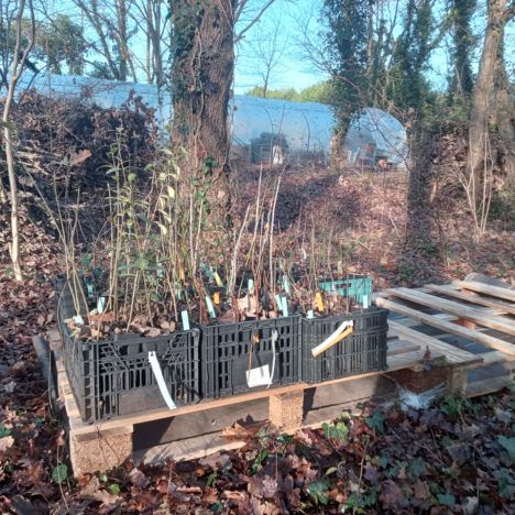 Nouveau cycle… Belle année 2026